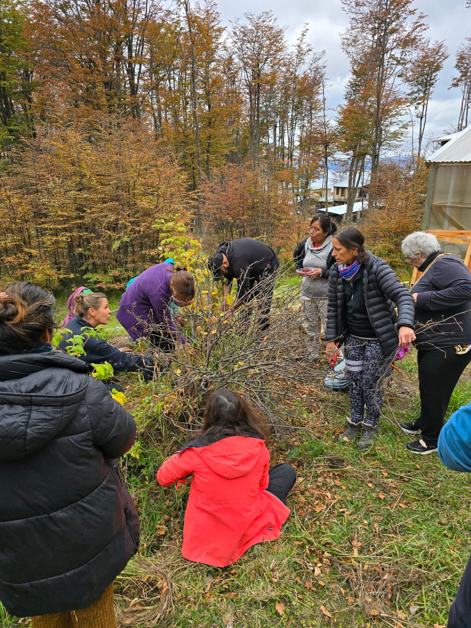 Corinthian pruning day - Jardín Botánico Ushuaia